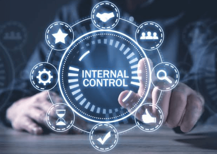 How CPAs Strengthen Internal Controls in Organizations